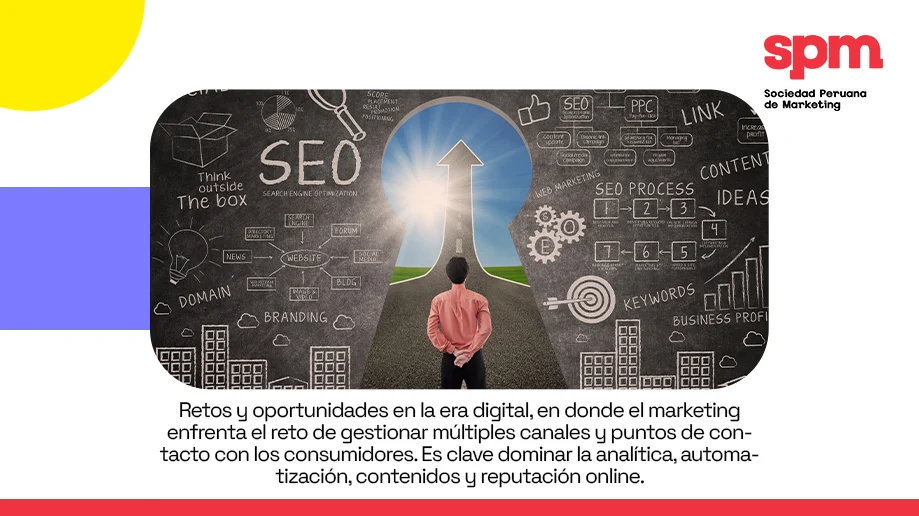 EBERT-PAZ-WEB-INTERIOR-3