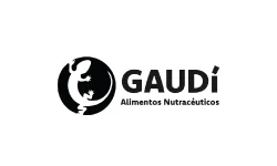 gaudi